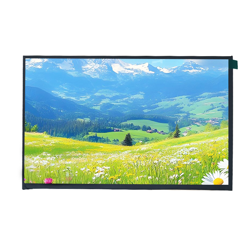 10 inch Full Colour TFT 1280*800 with Touch Screen(Resistive Type)